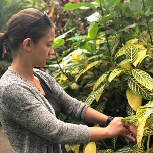 Meet your Posher, Marie